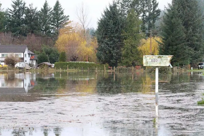 Rain protection on Vancouver Island home