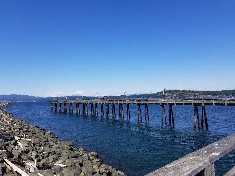 Professional painter working on Campbell River home exterior