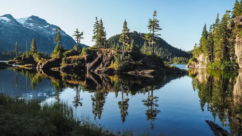 Summer painting project on Vancouver Island